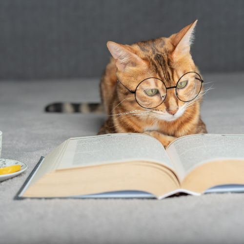 BE 1 of 10,000! INSPIRE A NEW AGE OF READERS AND THINKERS: GET INVOLVED in the READATHON with your FAMILY!